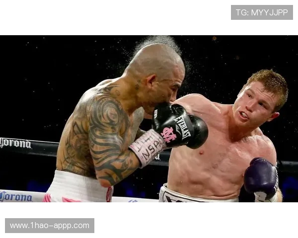 巅峰对决：库托与阿瓦雷兹激战直播全程见证